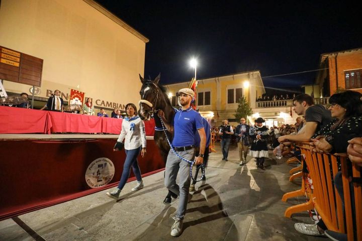 Assegnazione dei cavalli a Fucecchio (Foto Germogli)