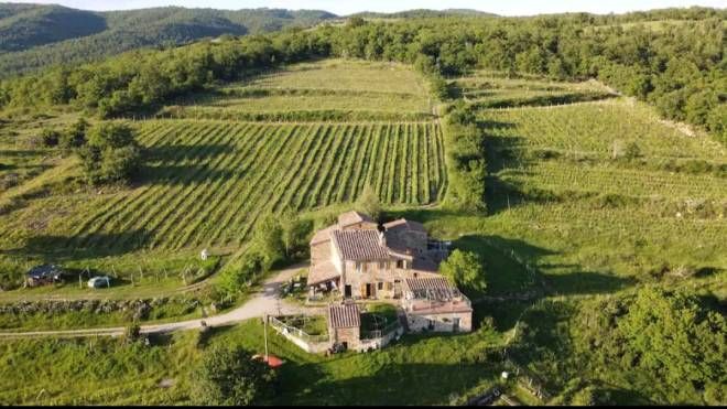 I luoghi particolari dove è possibile alloggiare in Toscana, tra i vigneti
(foto Airbnb)