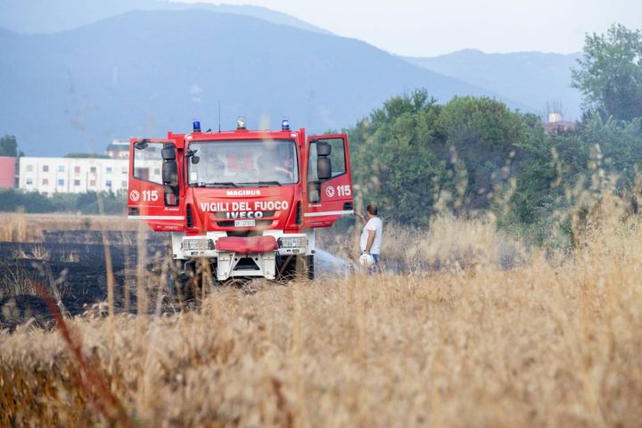 Pisa, incendio distrugge otto ettari di grano (Enrico Mattia Del Punta)