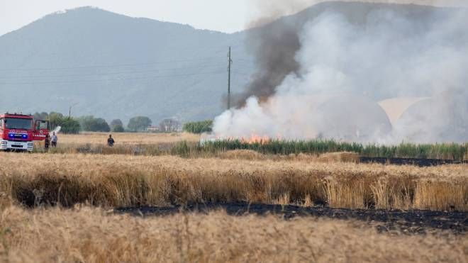 Pisa, incendio distrugge otto ettari di grano (Enrico Mattia Del Punta)