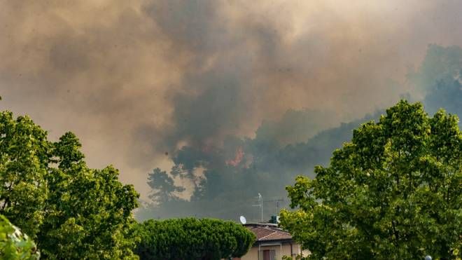 Incendio a Bozzano, le impressionanti foto del rogo vicino Massarosa (Foto Umicini)