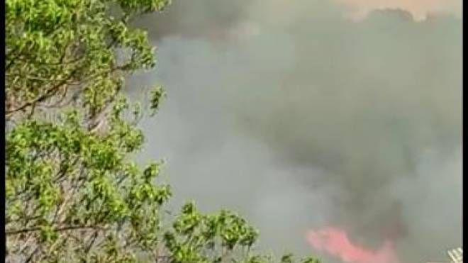 Incendio a Cinigiano, Grosseto (Aprili)
