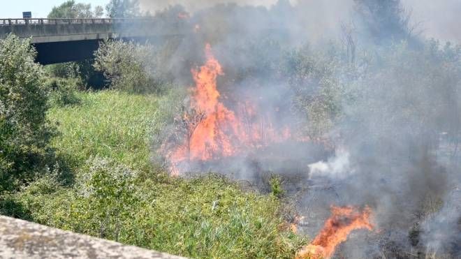 L'incendio in Fipili (Foto Novi)
