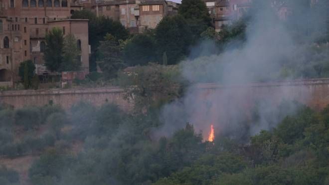 L'incendio che  ha messo in subbuglio Siena (Foto Di Pietro) 