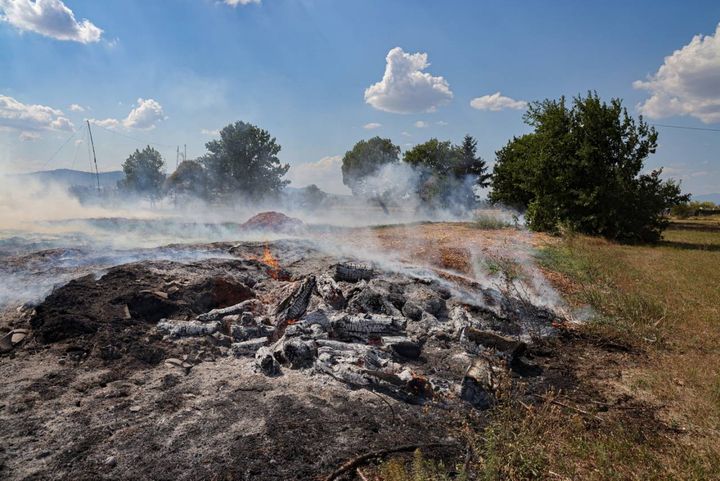 Campi Bisenzio, incendio di sterpaglie. La lotta contro il fuoco (Fotocronache Germogli)