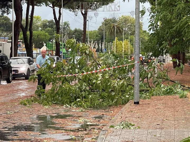 Bufera di pioggia e vento in Versilia.  A Lido di Camaiore alberi caduti, auto danneggiate (Foto Boldrini)