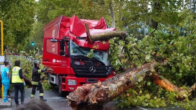 Pistoia, albero cade su un camion a causa del maltempo in viale Adua. Estratto vivo l'autista 
(foto Acerboni/FotoCastellani) 
