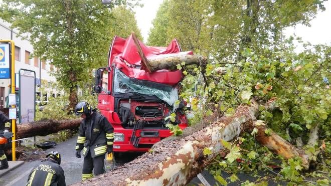 Pistoia, albero cade su un camion a causa del maltempo in viale Adua. Estratto vivo l'autista 
(foto Acerboni/FotoCastellani) 