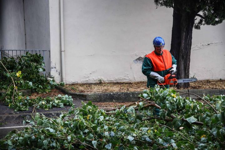 Empoli, alberi caduti a causa del maltempo in via dei Cappuccini
(foto Gasperini/Germogli)