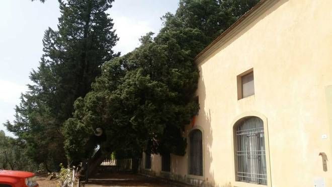 Maltempo a Bagno a Ripoli, alberi caduti tra Antella e Grassina 