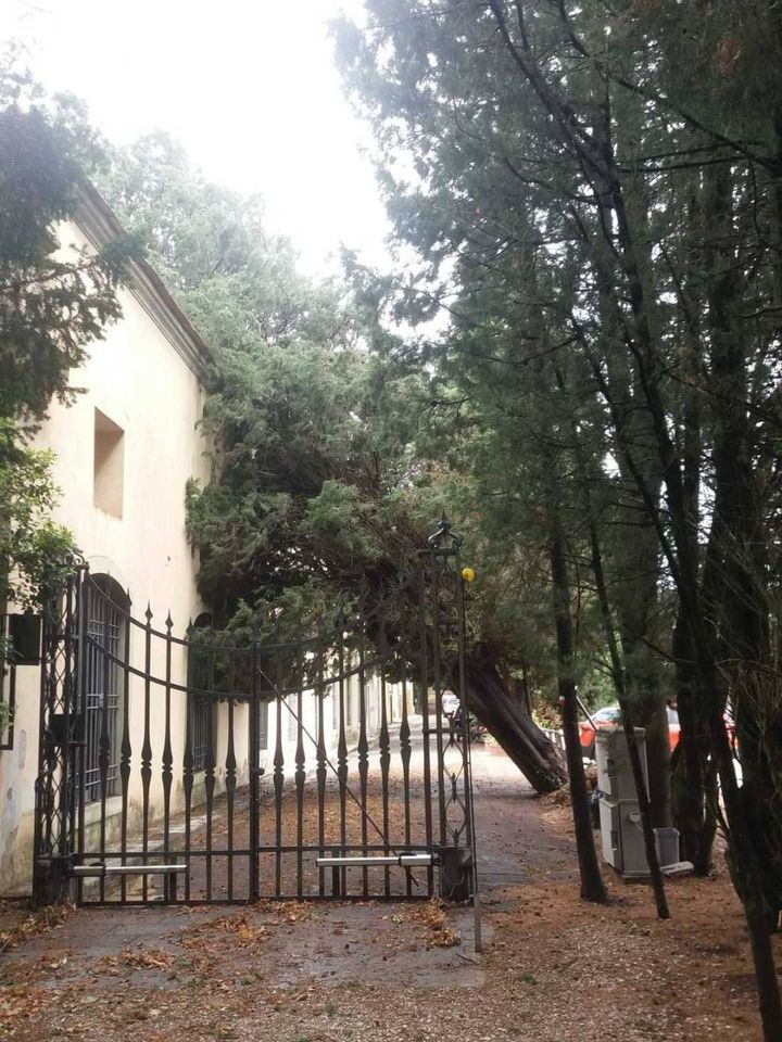 Maltempo a Bagno a Ripoli, alberi caduti tra Antella e Grassina 