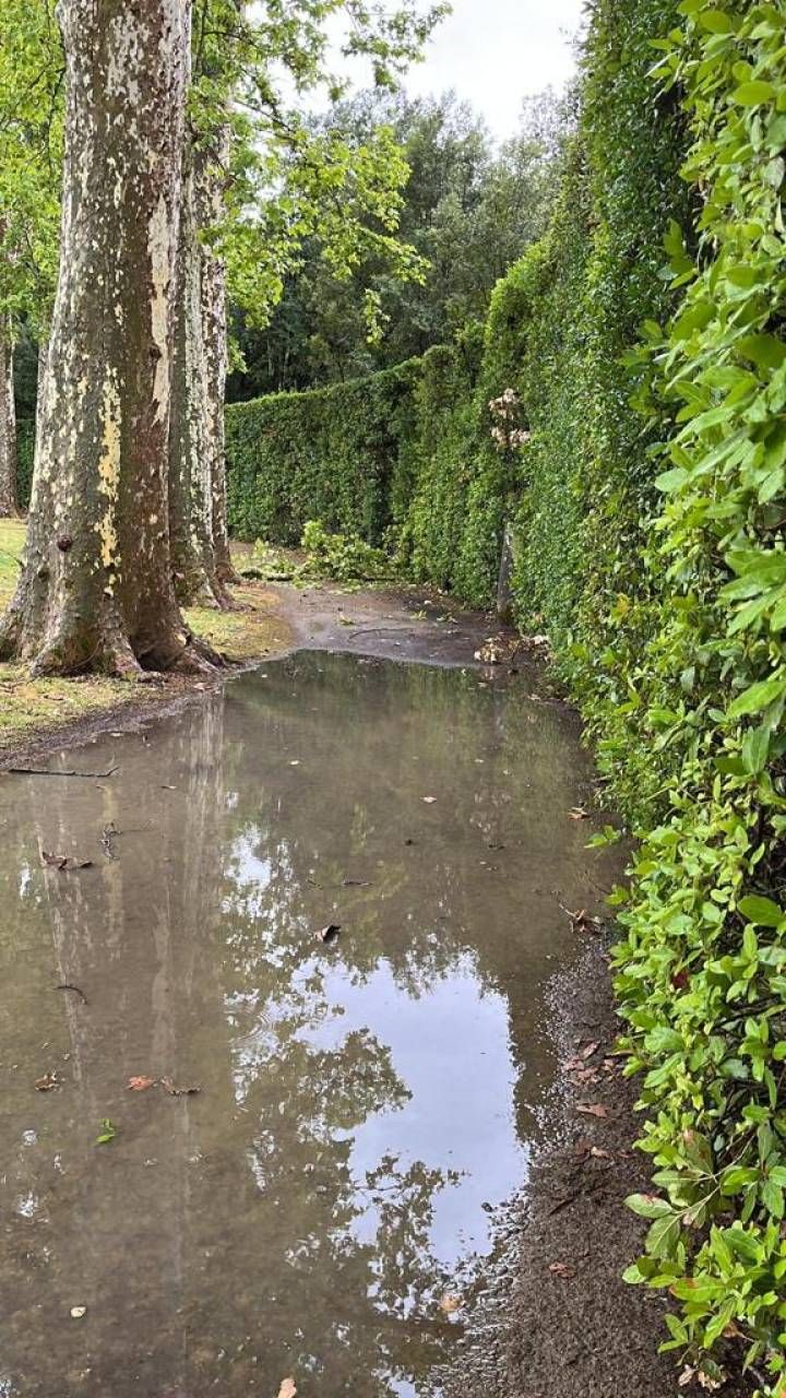 Firenze, alberi caduti al Giardino di Boboli a causa del maltempo