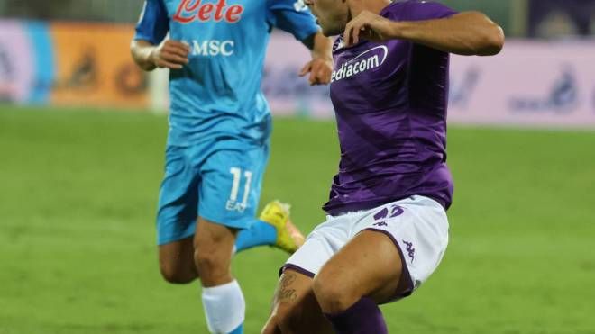 Fiorentina-Napoli (Germogli)