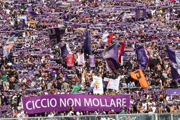 Fiorentina-Hellas Verona, le foto della partita (Germogli)