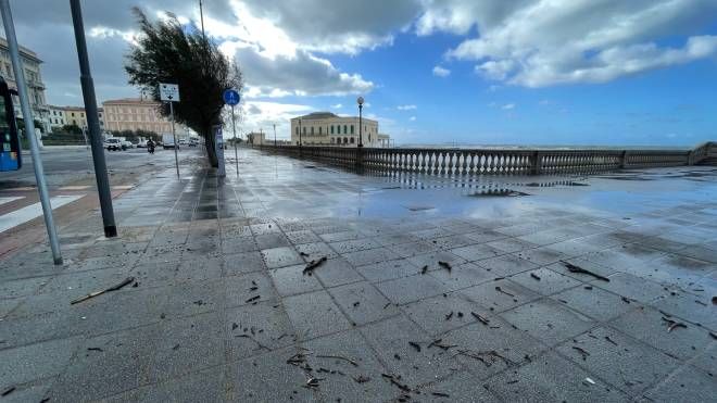 Mareggiata a Livorno, onde alte e raffiche di vento in Terrazza Mascagni (Foto Novi)