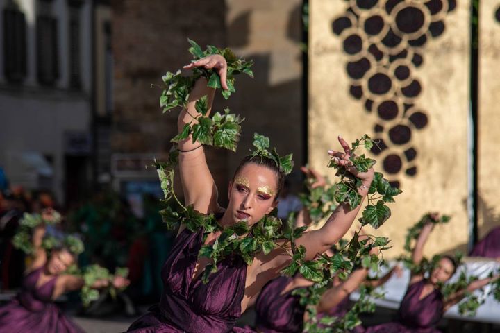 Impruneta, lo spettacolo della festa dell'uva (Foto Germogli) 