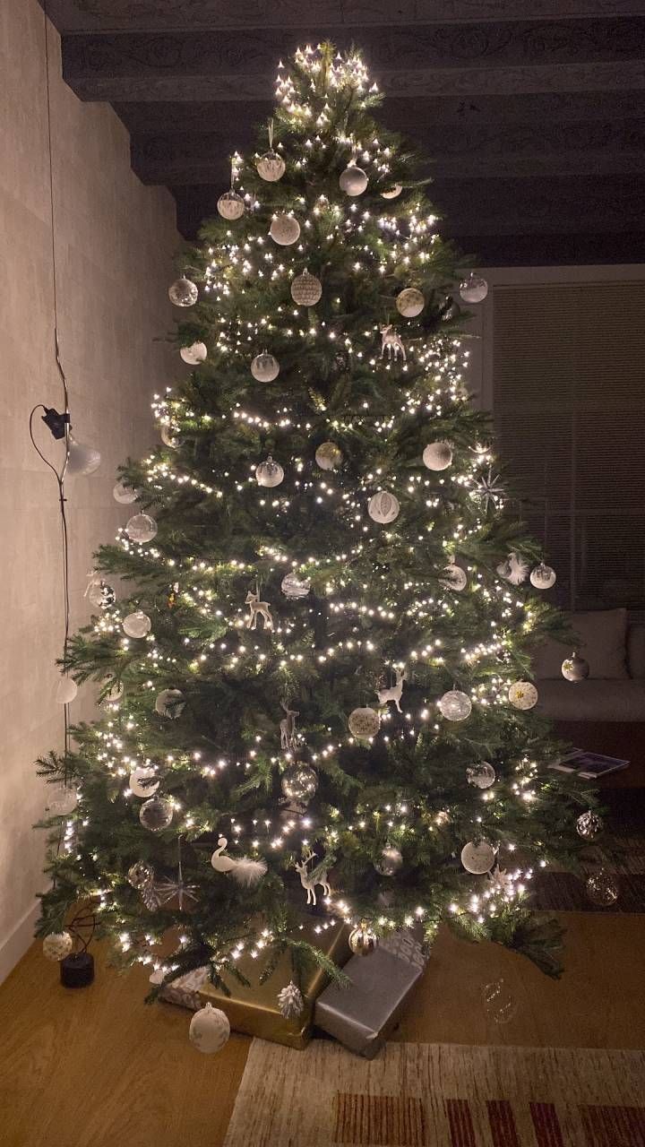 L'albero di Natale di Giovanni