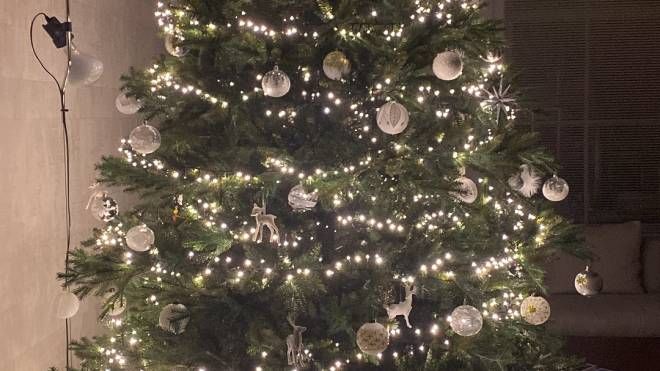 L'albero di Natale di Giovanni