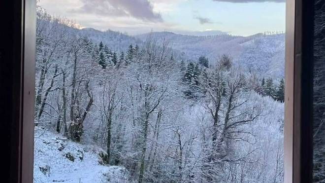La neve a Sambucheta (Londa), sulle colline di Firenze