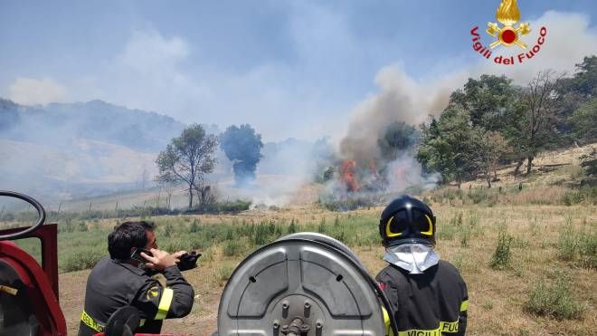 Incendio nel bosco a Narni (Foto Vigili del fuoco)