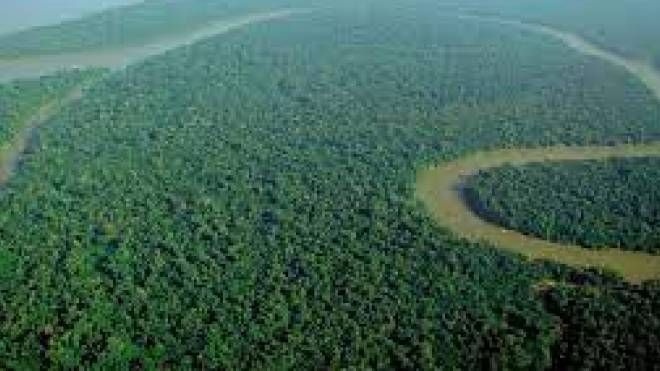 La foresta amazzonica 
