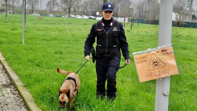 Carabinieri cinofili rastrellano il parco con cani molecolari (foto NewPressPhoto)